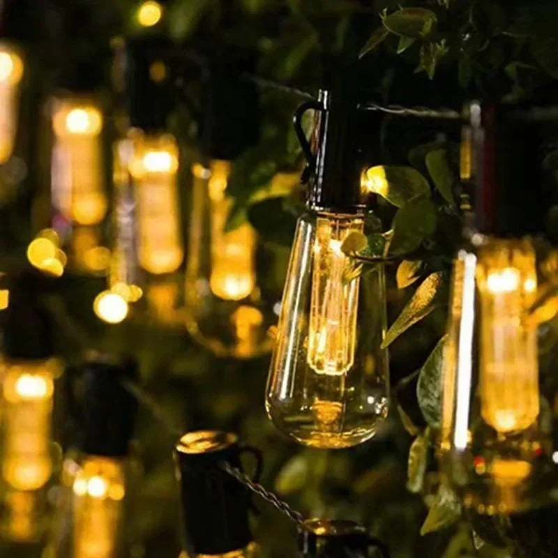guirlande solaire suspendue dans un jardin, ampoules floutées
