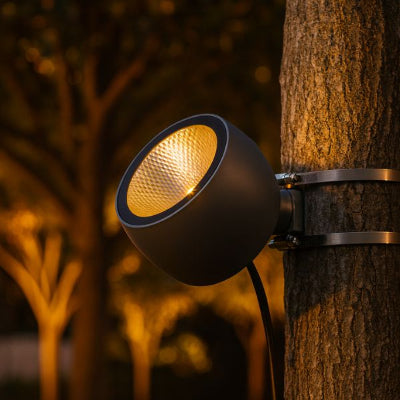 spot exterieur fixé à un arbre lumière blanc chaud