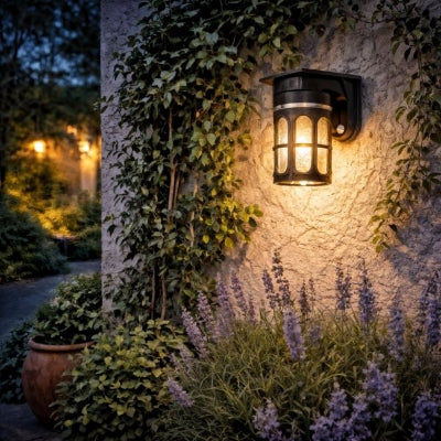applique exterieur solaire sur mur crépi, lierre, lavande pot de fleur en terre cuite et plantes