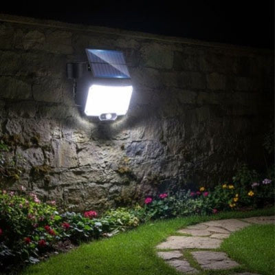 éclairage extérieur solaire avec détecteur illumine chemin et parterre de fleurs