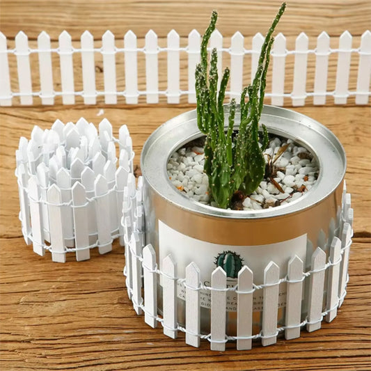 Décoration extérieur jardin moderne avec une barrière blanche en bois entourant un pot de cactus décoratif