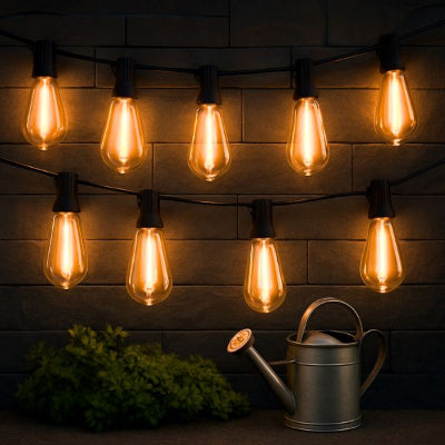 guirlande lumineuse extérieur vintage avec arrosoir métallique devant mur en pierre