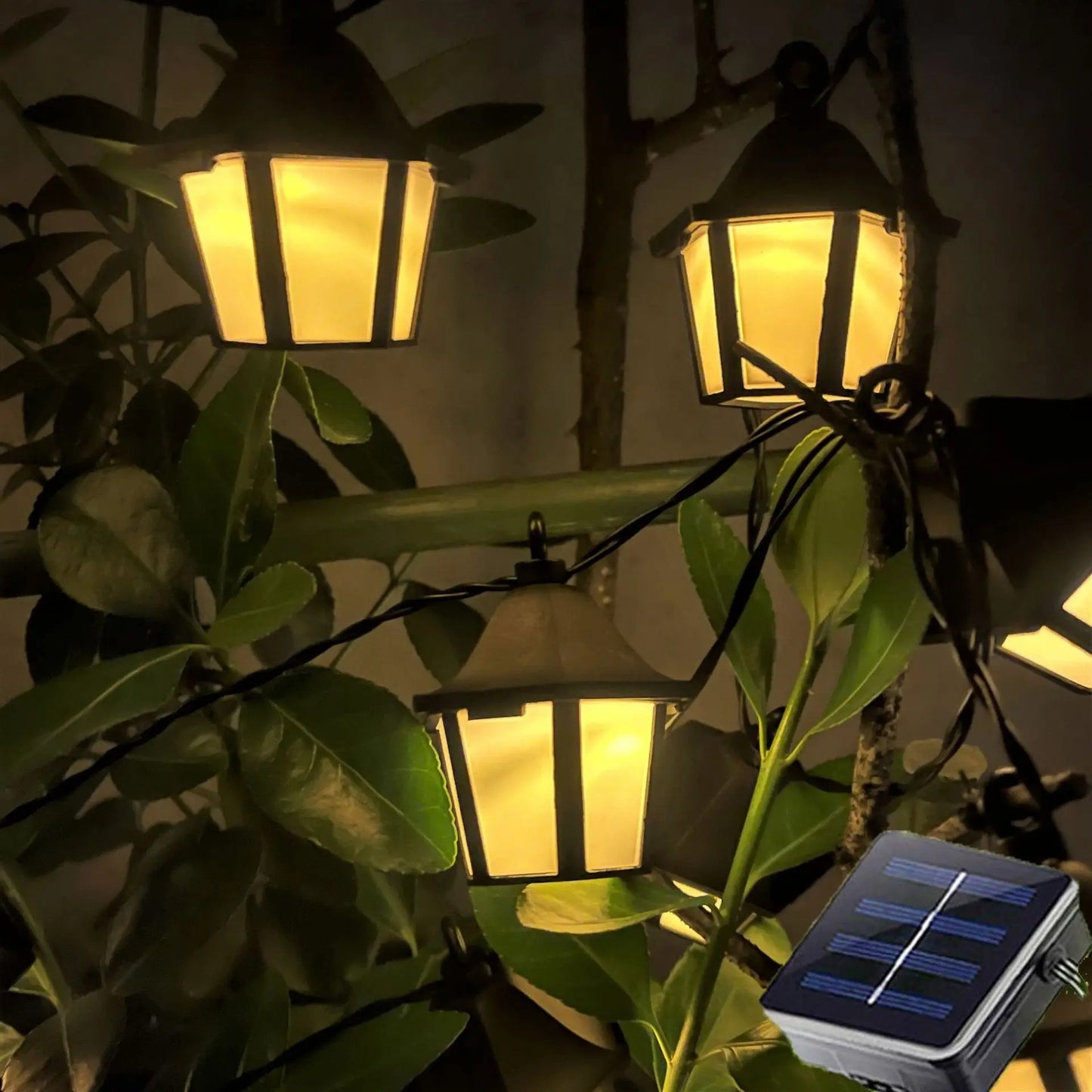 guirlande solaire installée sur arbre avec panneau solaire