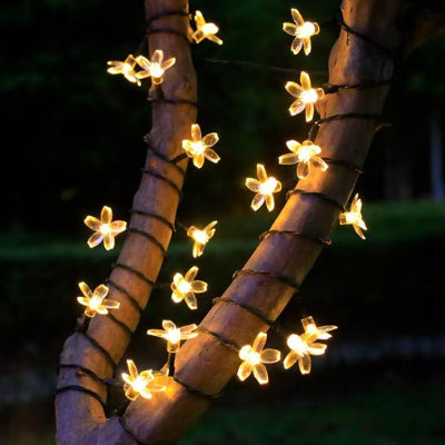 Guirlande solaire LED en forme de petites fleurs recharge solaire autour de branches d'arbre