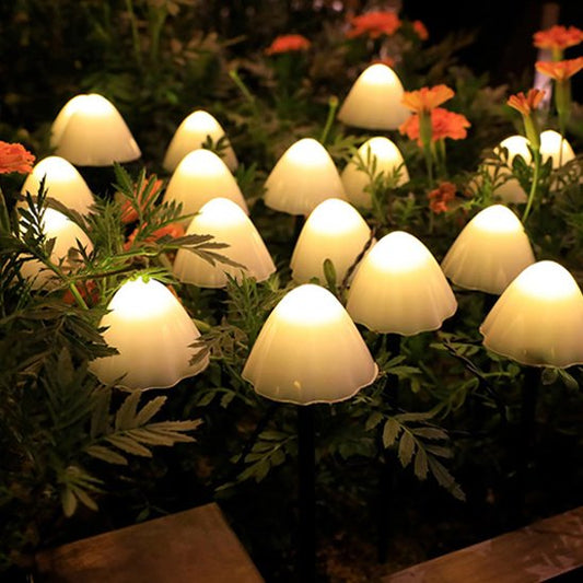 lot de lampe pour jardin solaire​ regroupée, plantée dans 2 mètres carrés