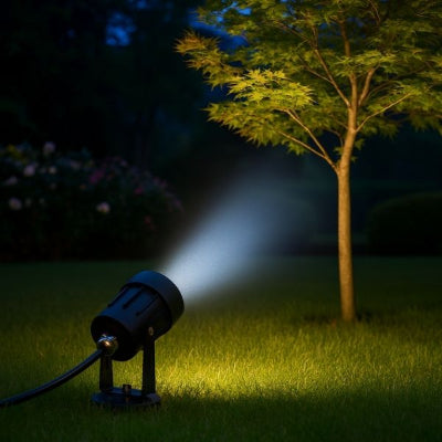 spot exterieur led noir éclairant un érable avec un faisceau lumineux blanc froid dans un jardin moderne