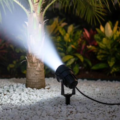 spot exterieur etanche LED orientable illuminant un palmier sur sol en graviers blancs