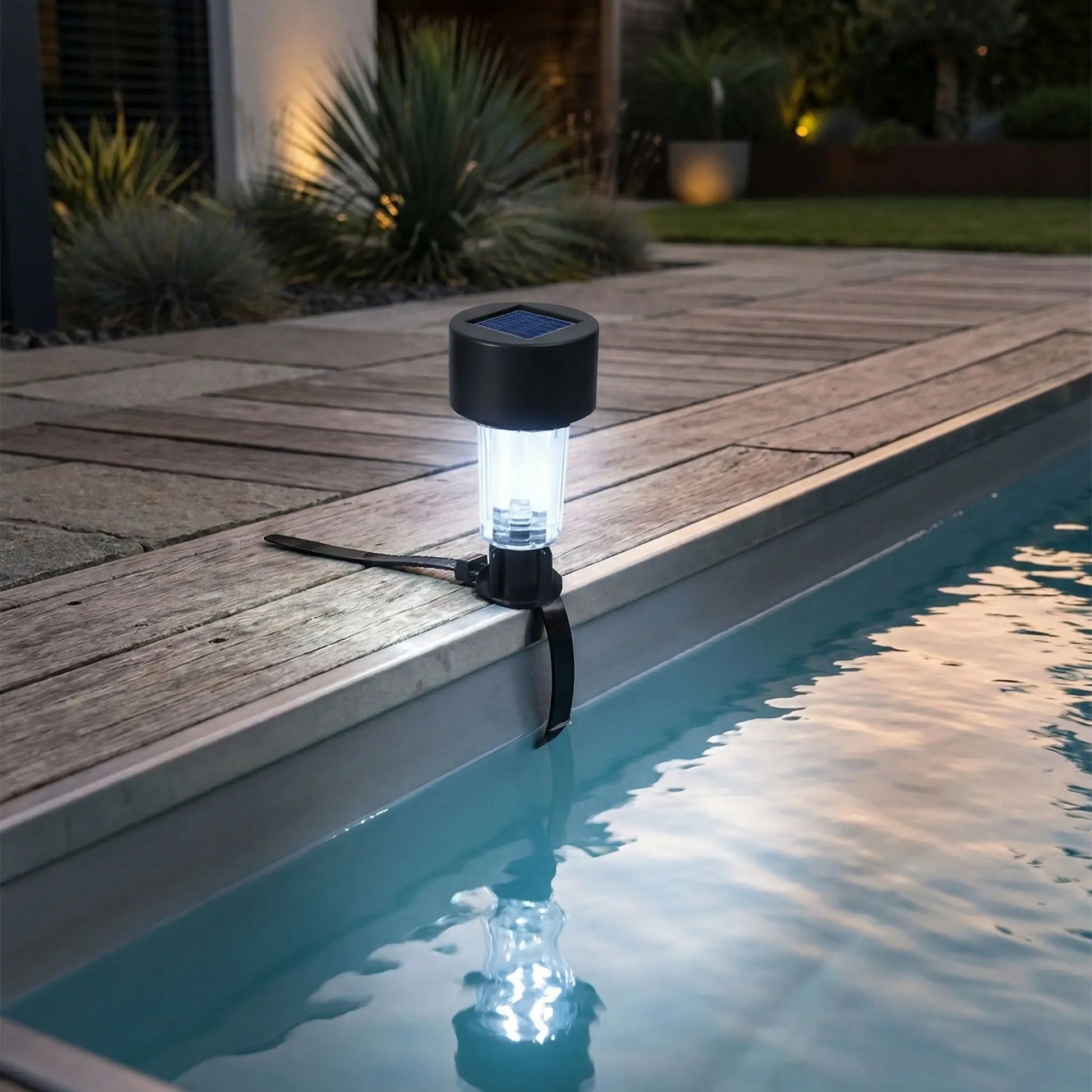 spot piscine blanc froid fixé au bord d'une piscine et reflet dans l'eau. Au second plan, plantes avec lumières solaires et pelouse