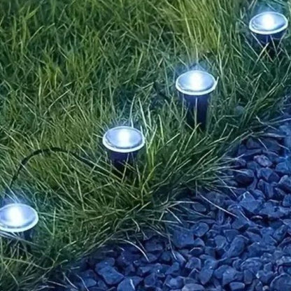Spot solaire extérieur lumière blanc froid installé en bordure de jardin pour éclairage d'allée extérieur