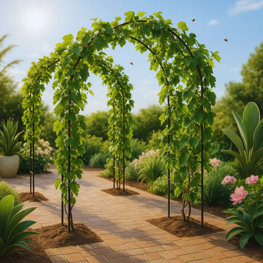treille-pour-vigne
